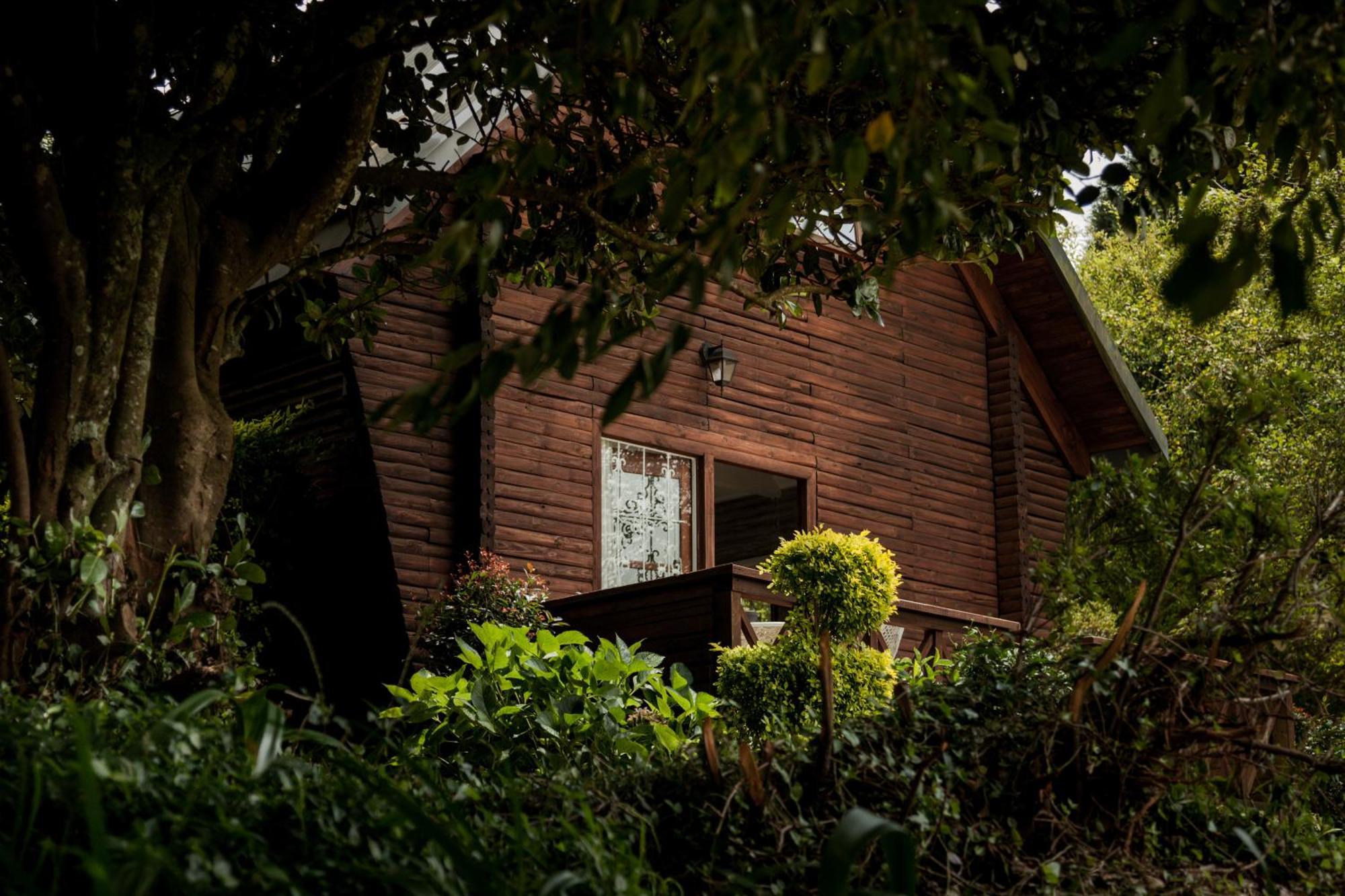 Viewpoint Estate Guest House Haenertsburg Exterior foto
